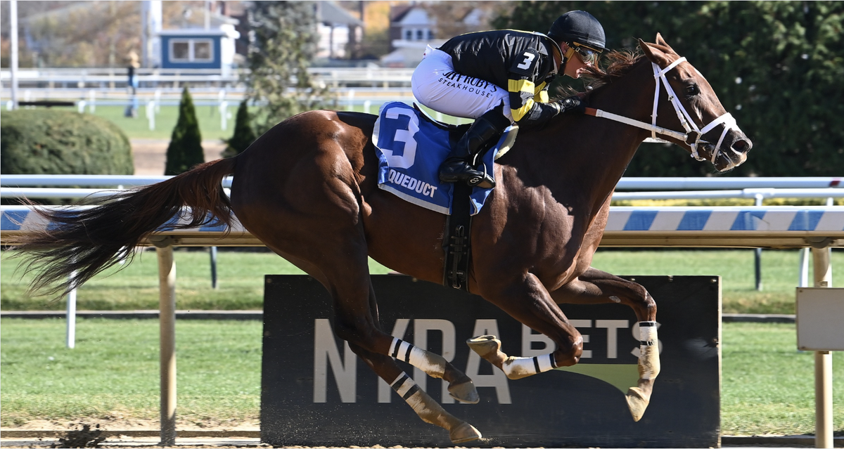 Lucille Ball Aqueduct Ac