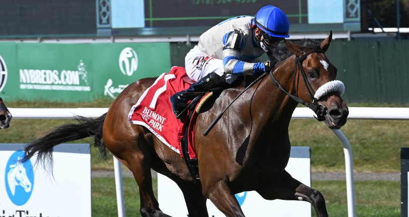 Sail By Miss Grillo 21