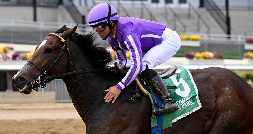 Kimari The Gallant Bloom Credit 2022 Joe Labozzetta