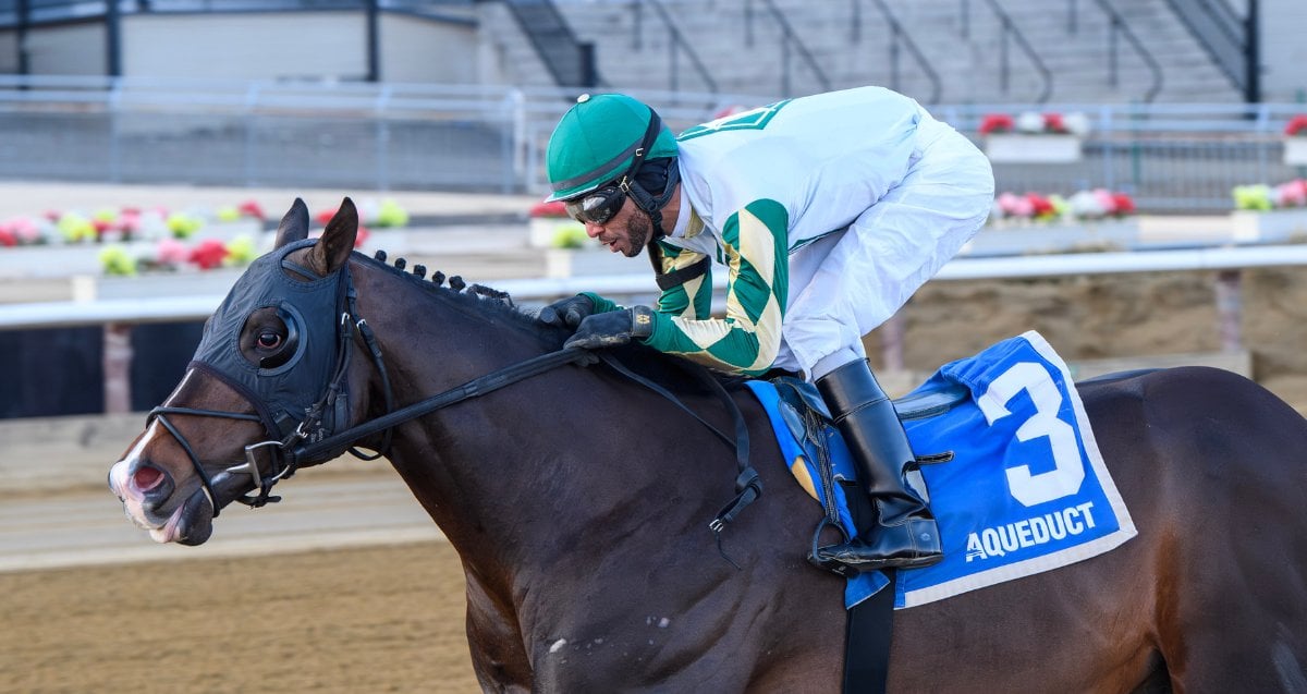 National Identity Say Florida Sandy Sr 3