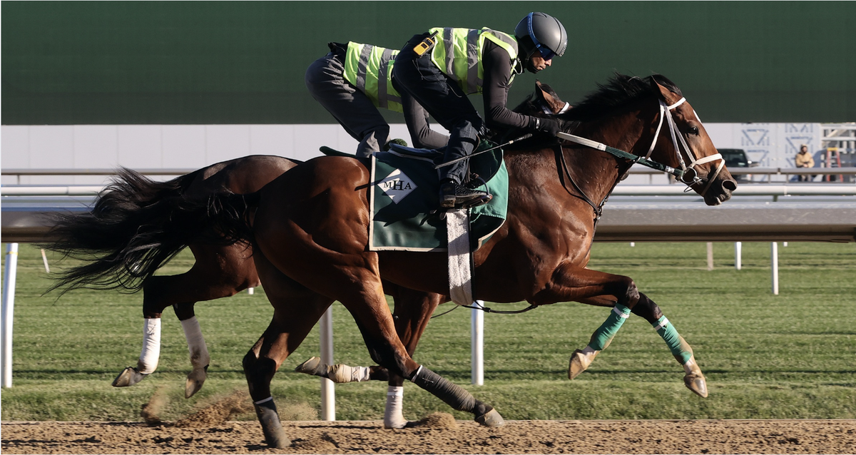 Rum Twist Belmont Park Sr