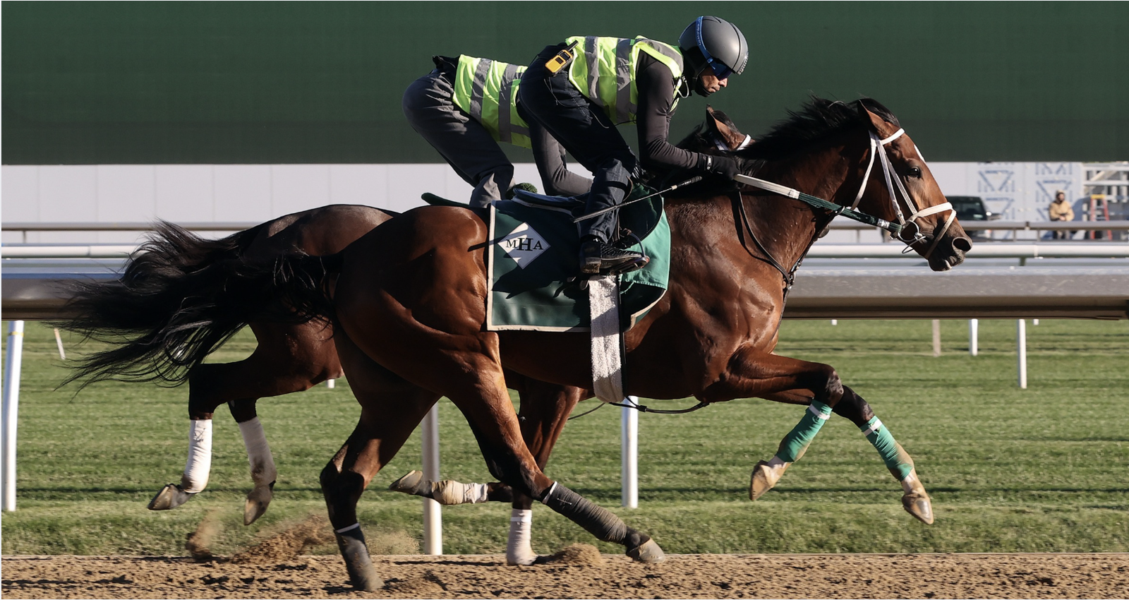 Rum Twist Belmont Park Sr