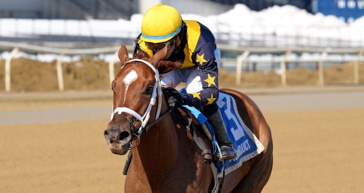 Paradise Busher 26 Jl