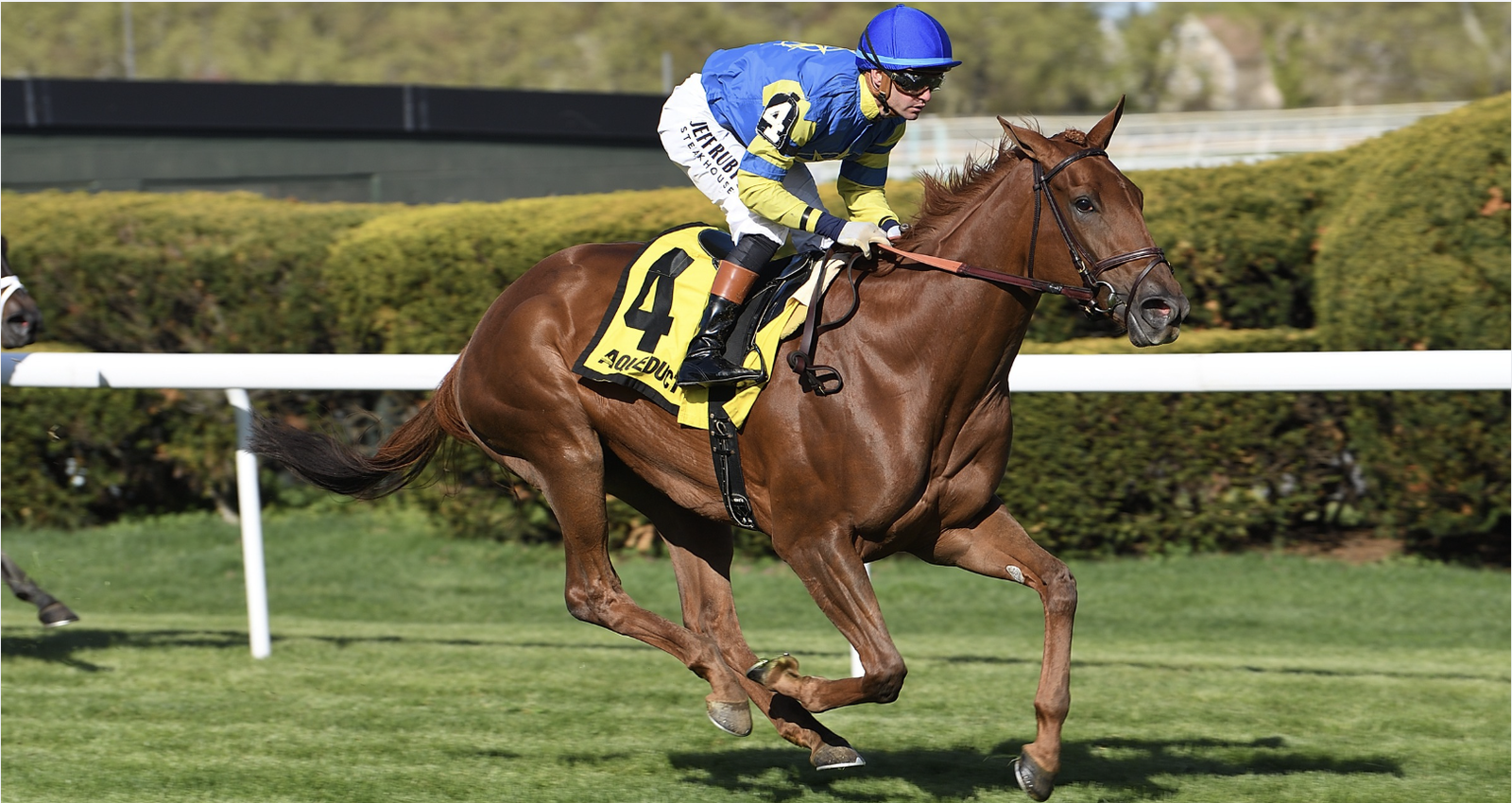 Fitz Right Memoriesof Silver Ac