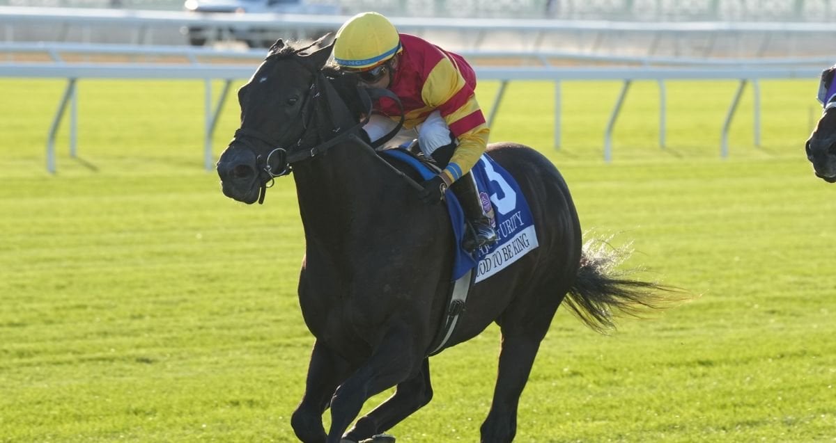 Good To Be King Futurity 26 Jl