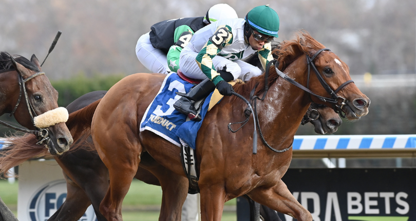 Acoustic Ave Notebook 22