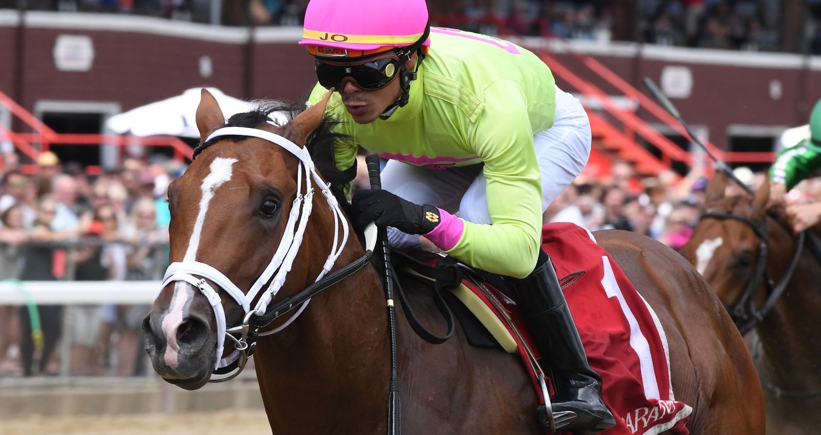 Run Curtis Run Rick Violette 21 Dn