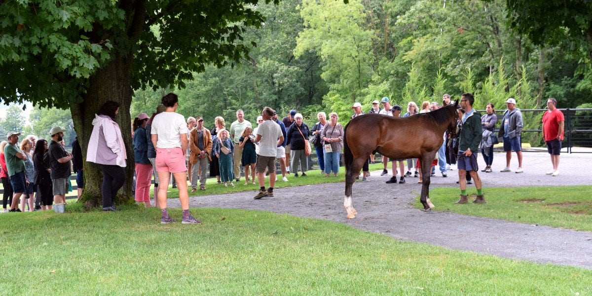 Sar Farm Tour