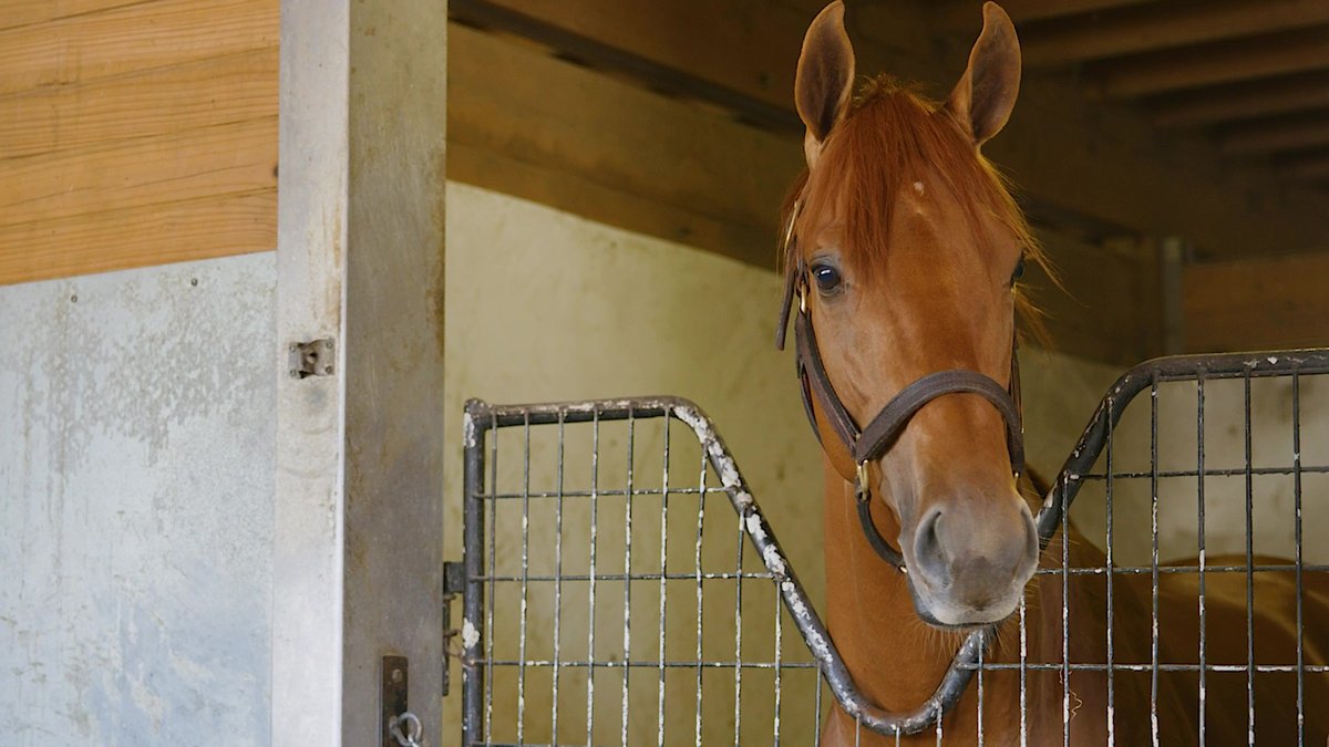 Red Route One Stall Facing Forward