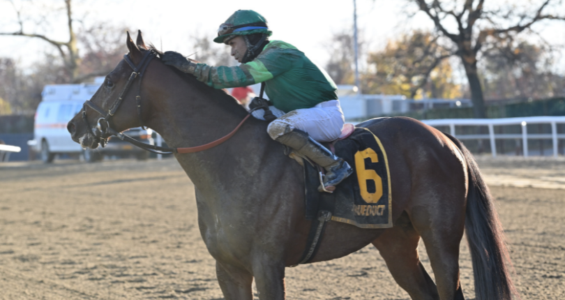 Miles D Discovery 21 Jl