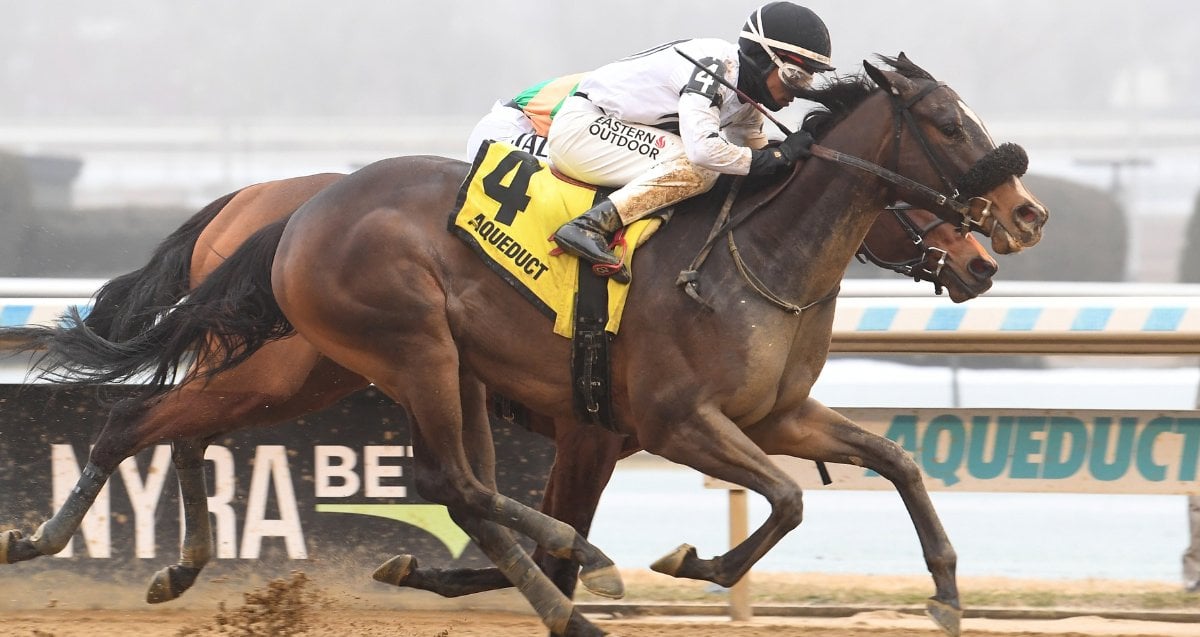 Victory Hall Maddie May Ac