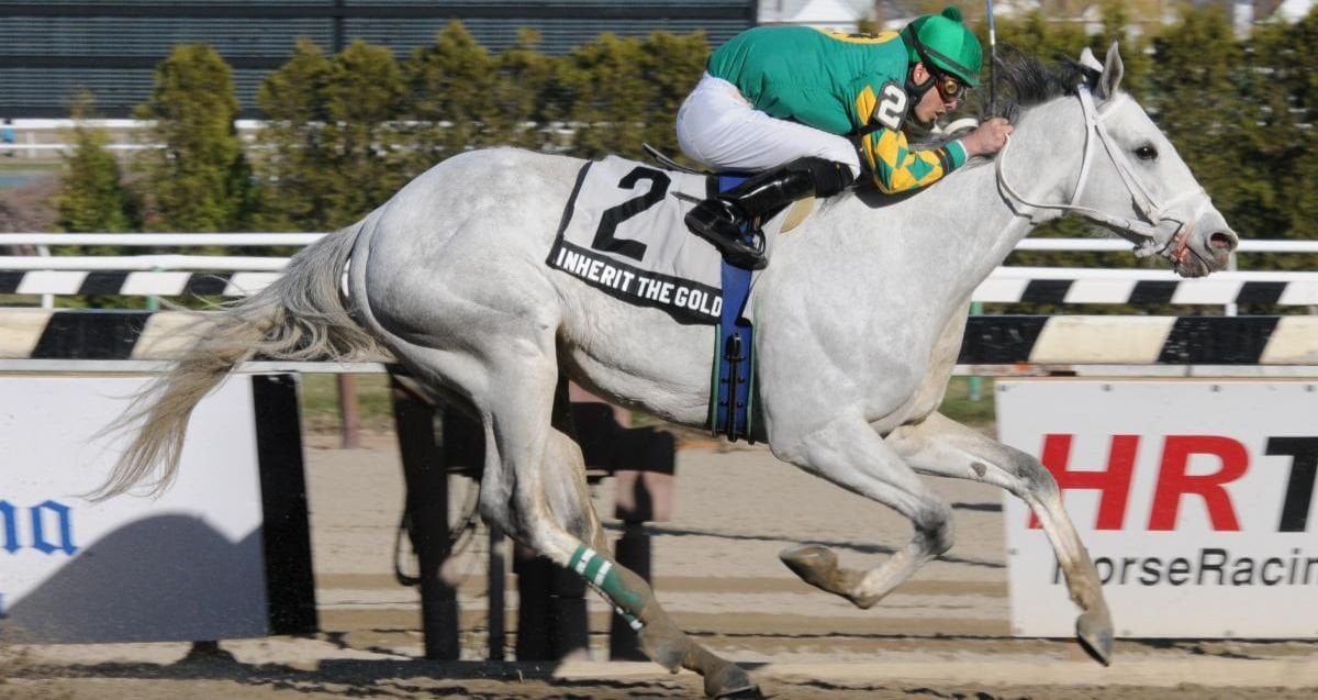 Inherit The Gold Excelsior 11