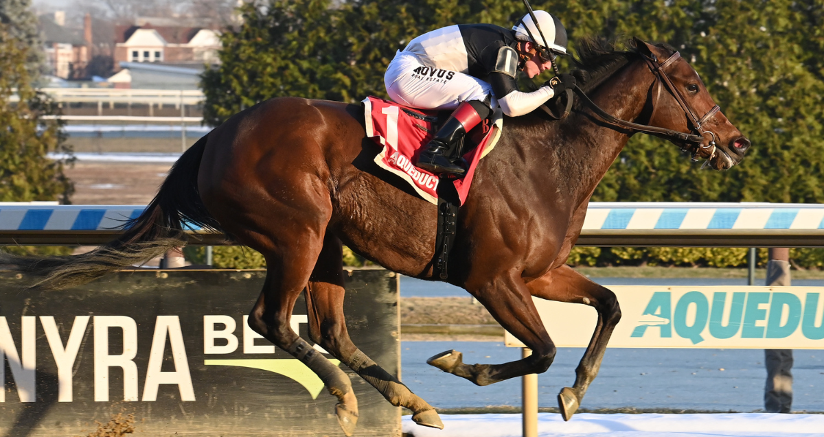 Stonewall Star Bay Ridge 24 Sr .