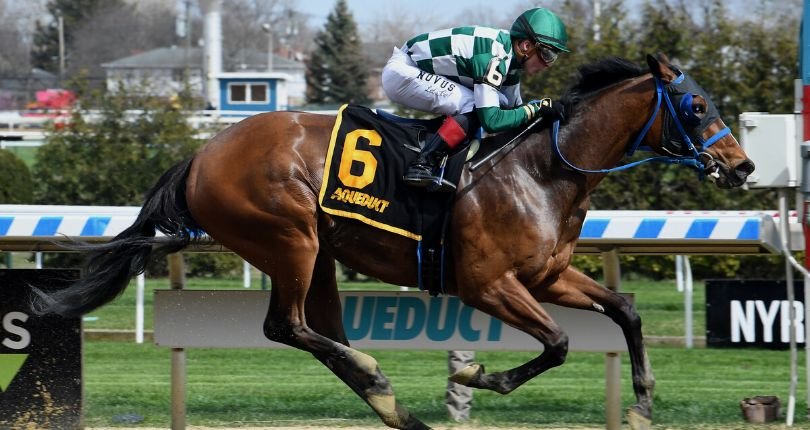 Glass Ceiling Distaff 22 Jg