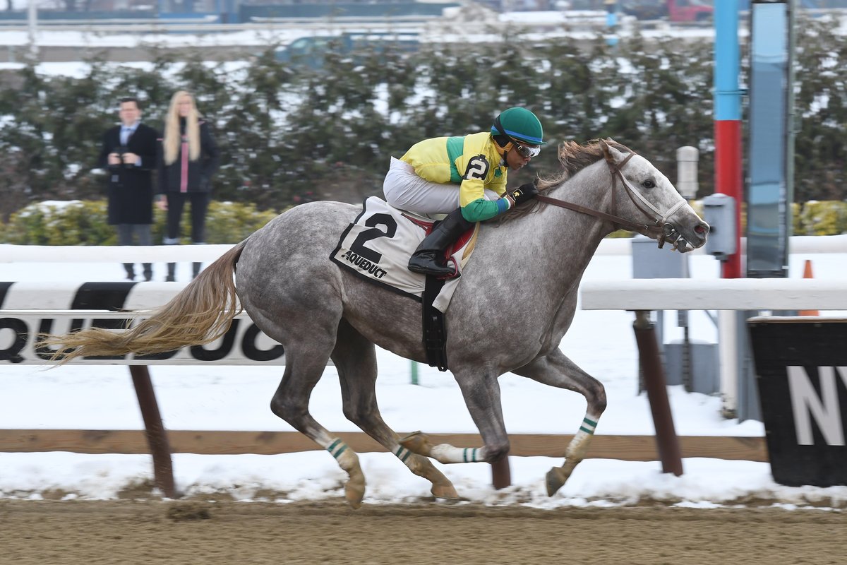Claiming Championship returns this Saturday at Aqueduct Racetrack ...