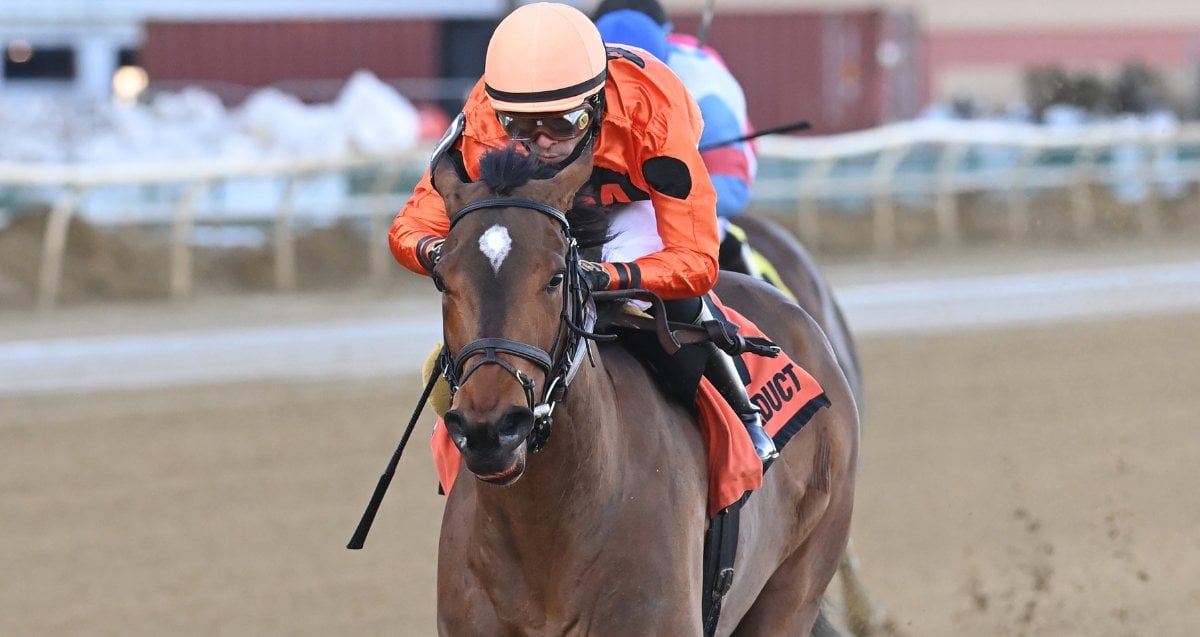 Wirththeangels Correction Cd