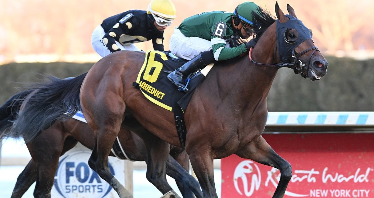 Iron Honor Gotham Stakes Cd