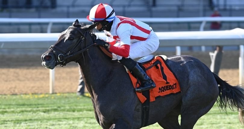 Consumerspending Nyra