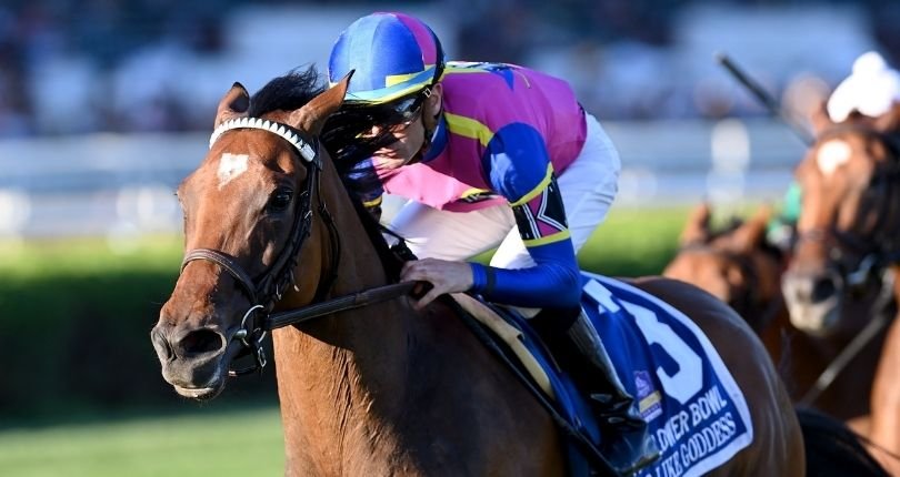 War Like Goddess Flower Bowl 21