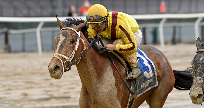 Julia Shining The Demoiselle Credit Joe Labozzetta 2022