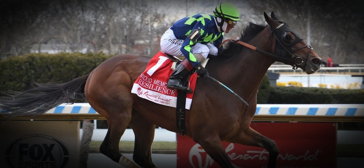 Resilience Wood Memorial 24