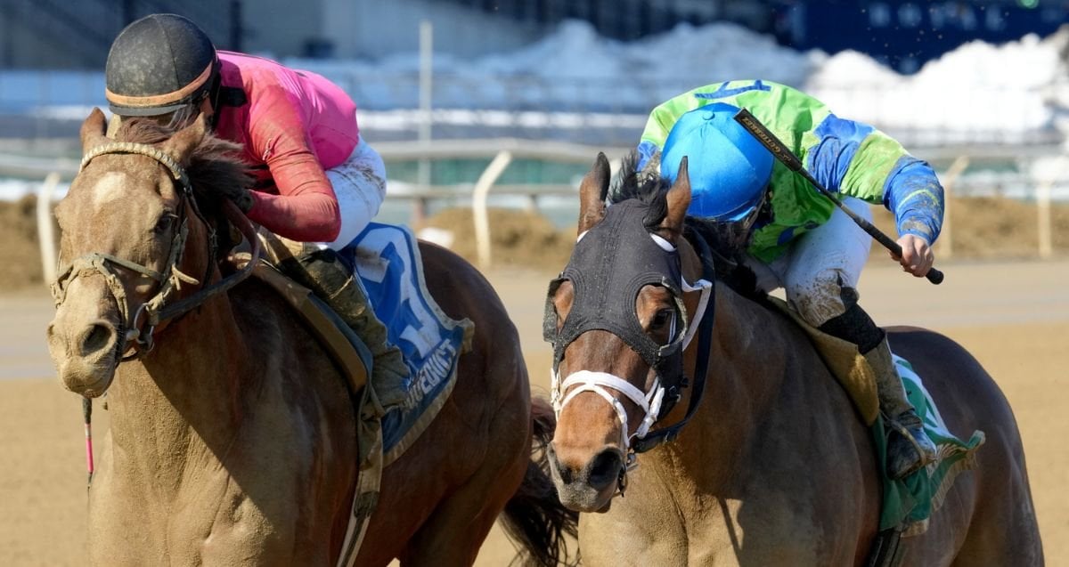 Bold Journey Tom Fool 26 Jl