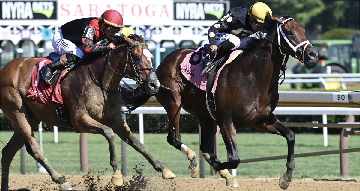 Arctic Beast Saratoga Ac