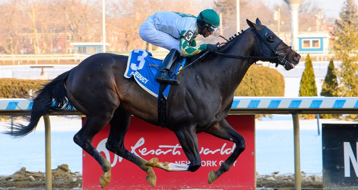 National Identity Say Florida Sandy Sr