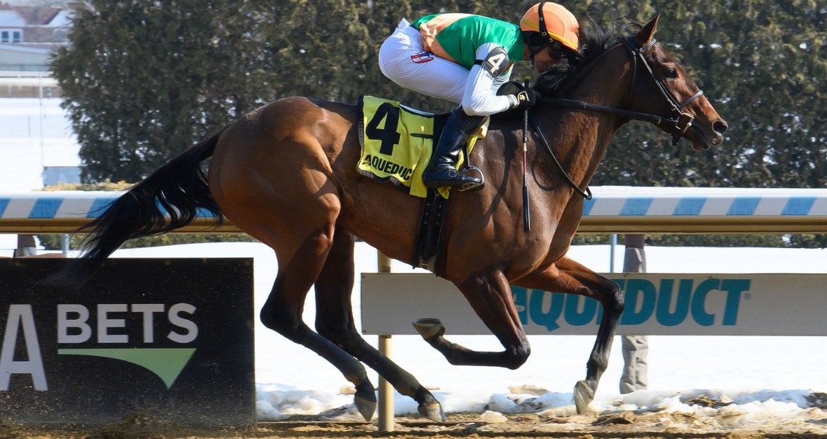 Galinda East View Ac