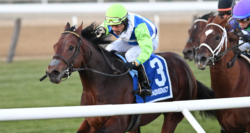 Arrest Me Red Aqueduct Turf 21 Jl