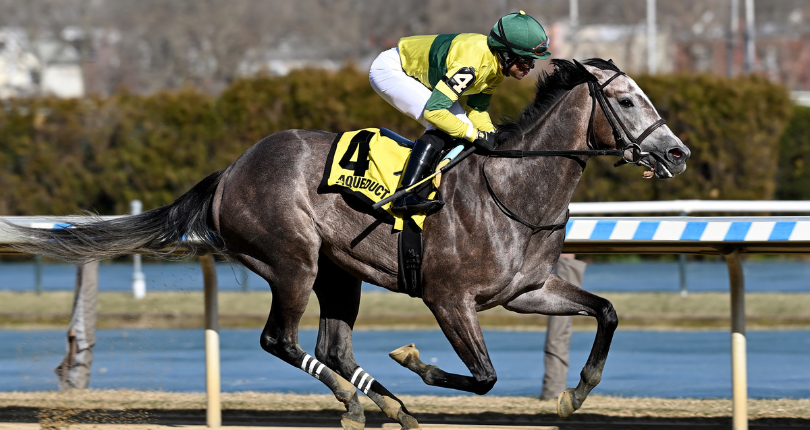 Maple Leaf Mel East View 23