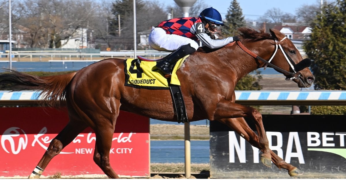 Igniter Jimmywinkfield Ac