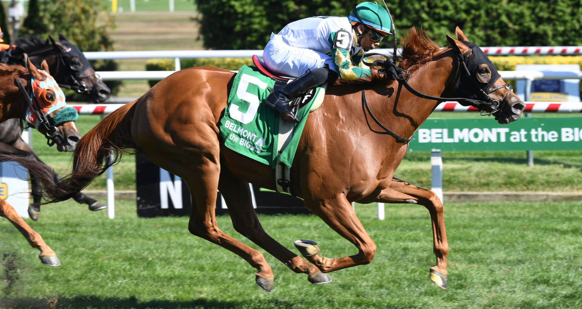 Belmont At Aqueduct Entries And Results For Today
