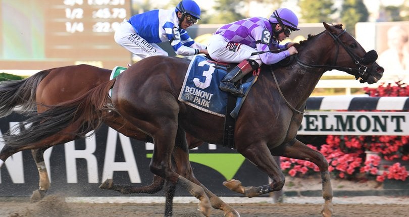 Pat On The Back Kelso 4 Ac