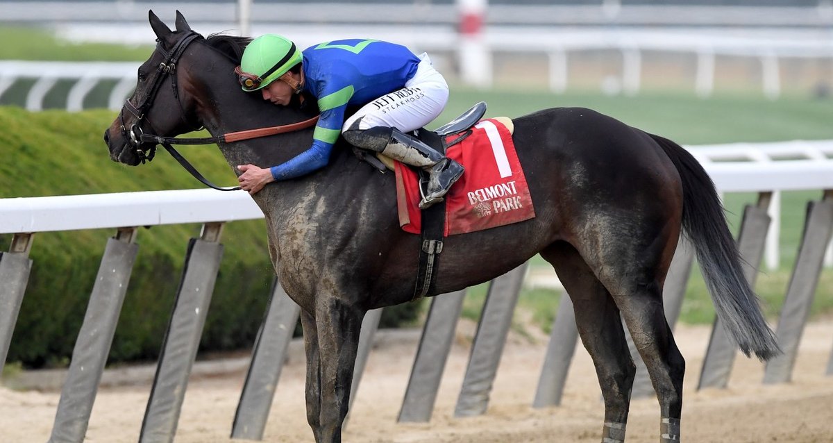 Bel 23 Goodnight Olive Hug Dn