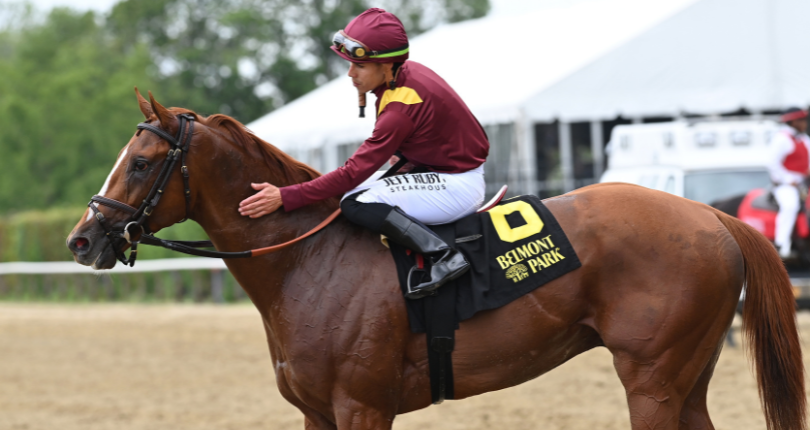 Kalik Pennine Ridge 23 Jl