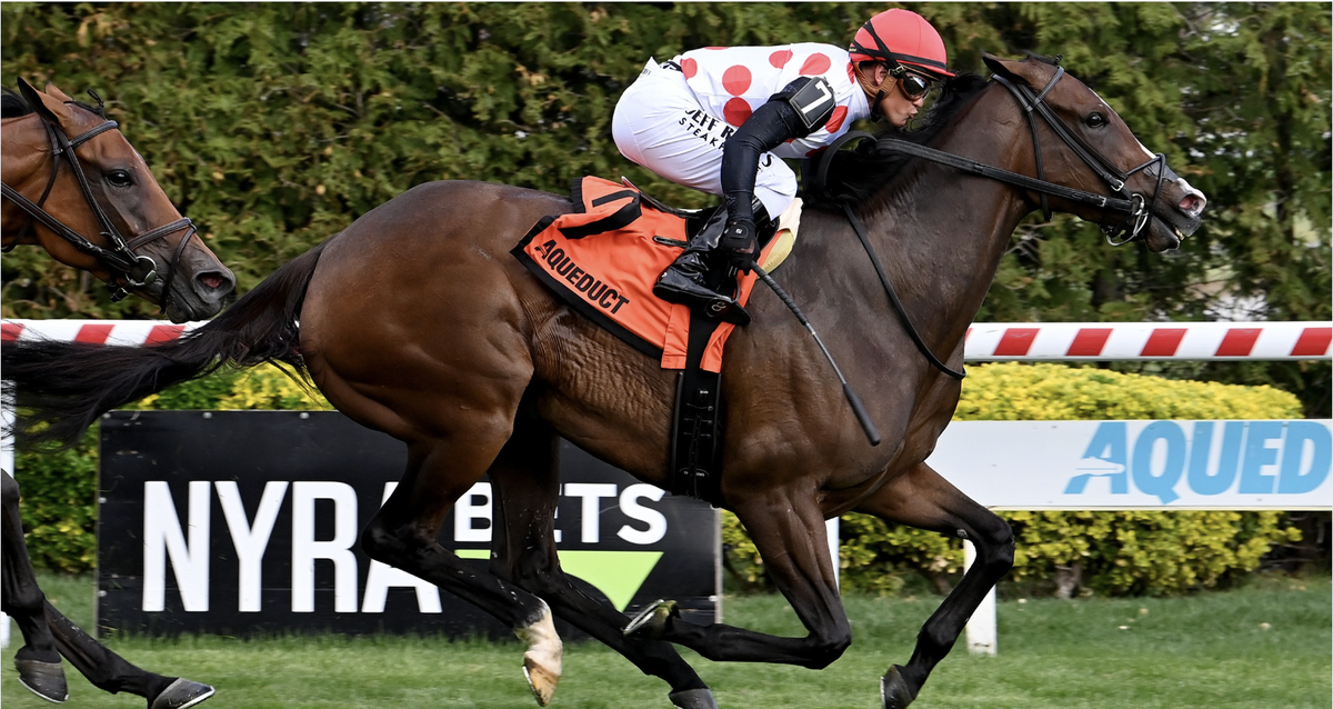 And One More Time Plentyof Grace Sr