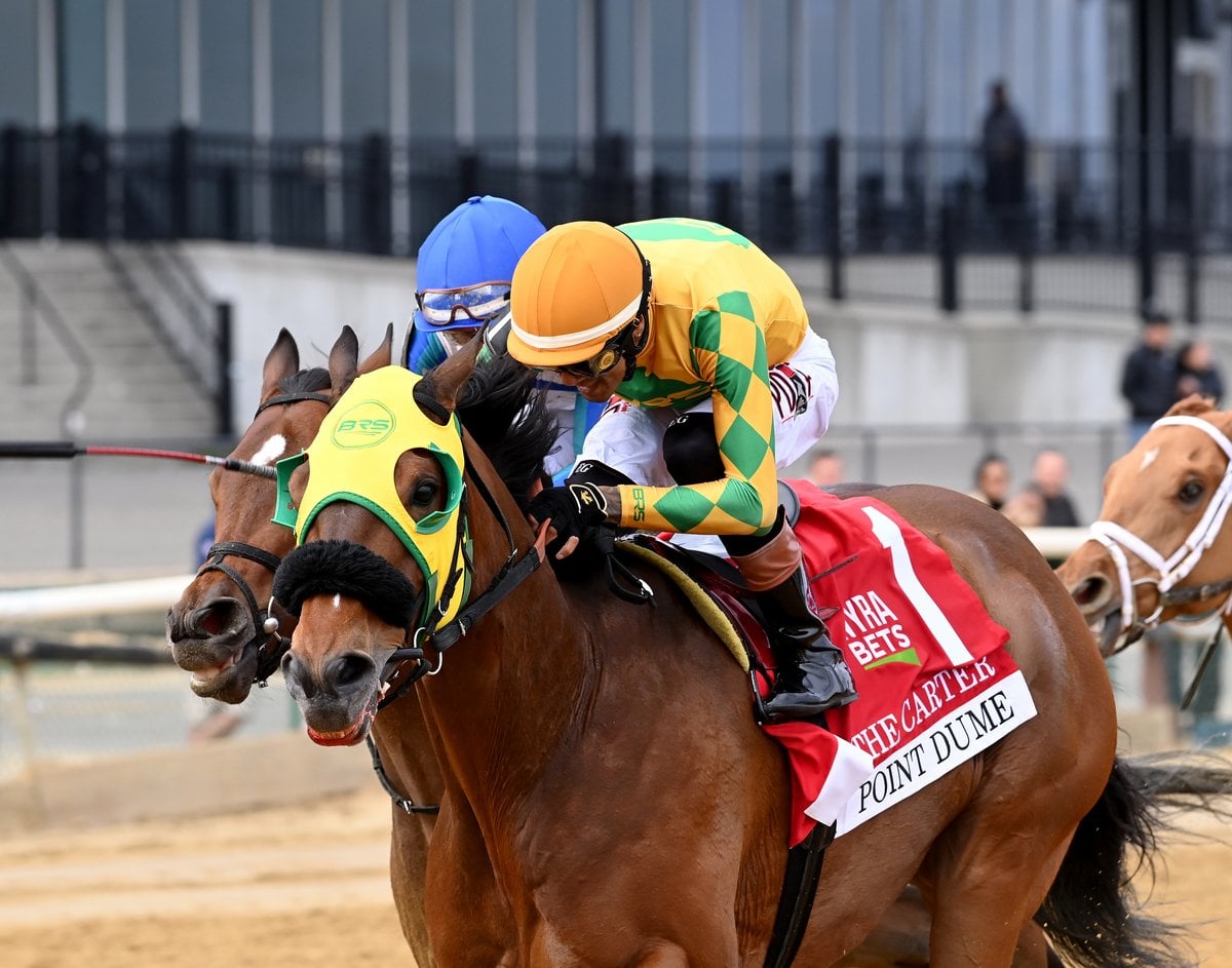 Point Dume Carter 26 Cd