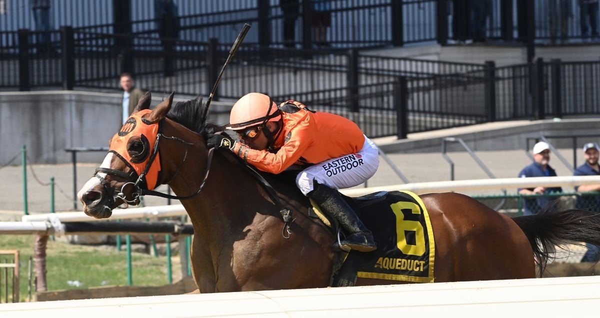 Yo Daddy Excelsior 26 Al