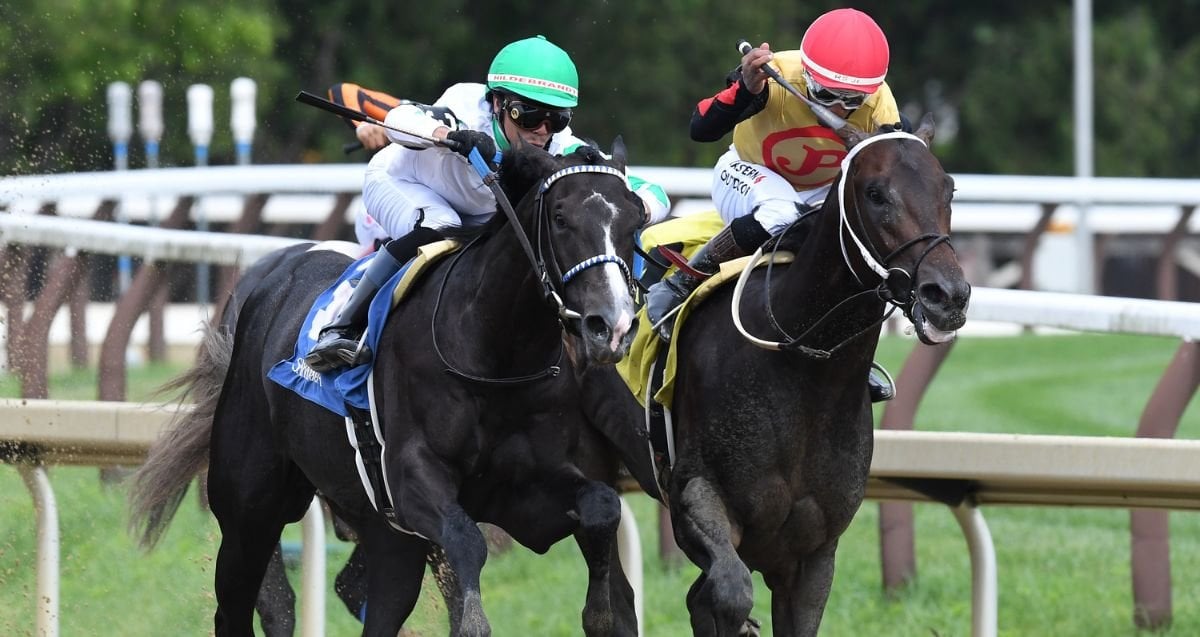 Twinkle Town Saratoga Special 26 Al