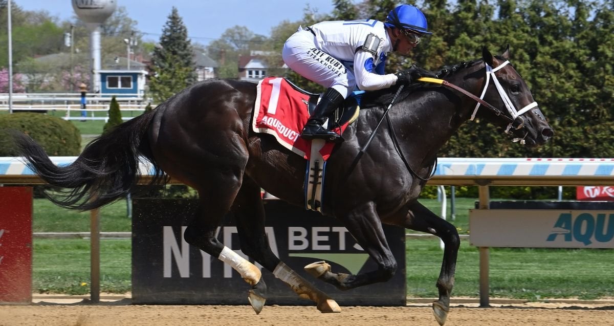 Solitude Dude Bay Shore 26 Sr