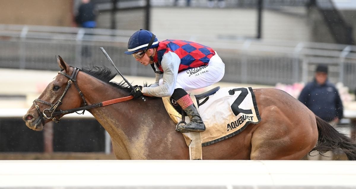 Always Arunner Gazelle 26 Al