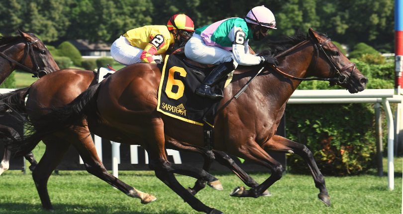 Viadera De La Rose News Ac