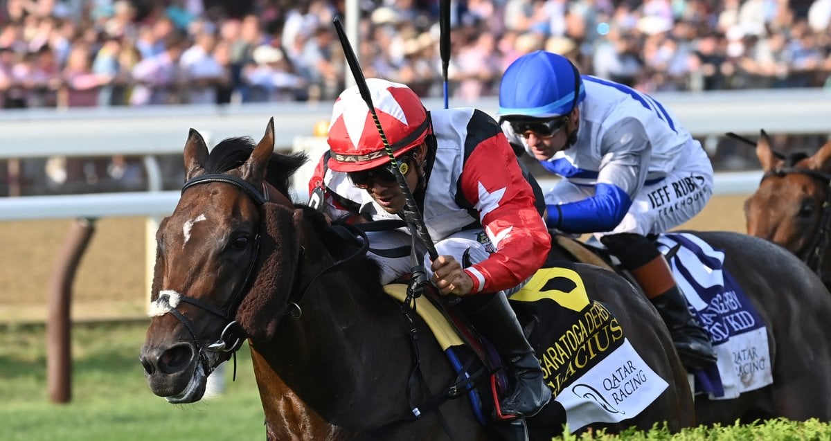 Glacius The Saratoga Derby Cd
