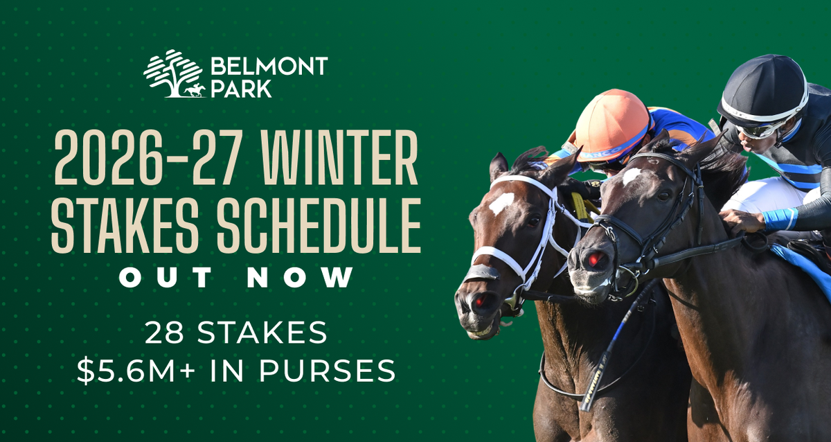 Bel 26 Winter Stakes Announcement