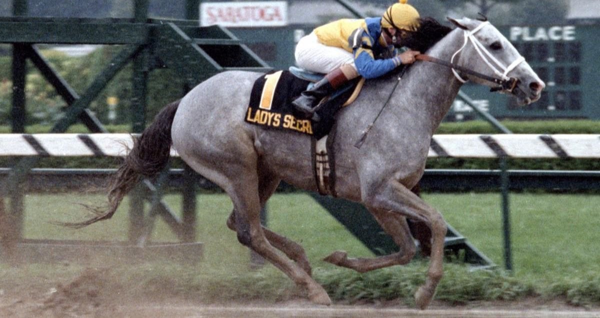 Ladys Secret Whitney 86
