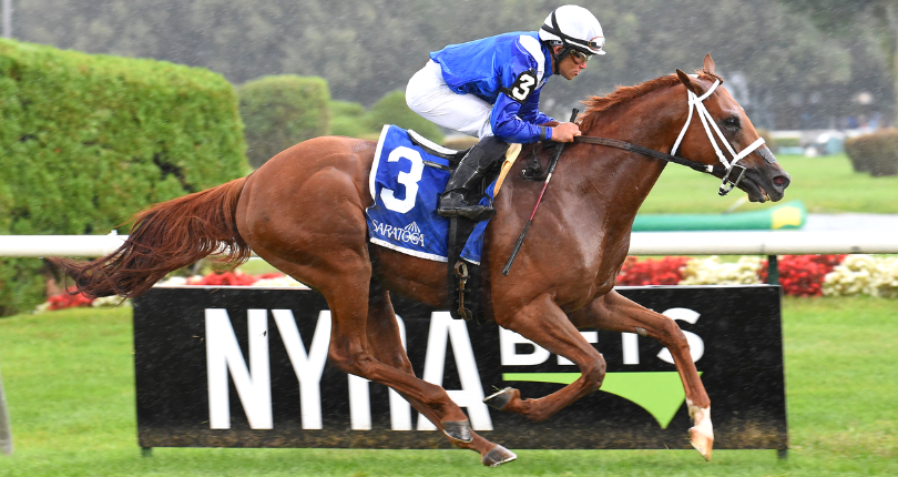 Qurbaan Bernard Baruch Ac