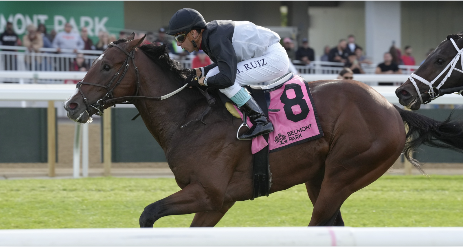 Doubting Thomas the real deal in inaugural $175K Bricks and Mortar ...