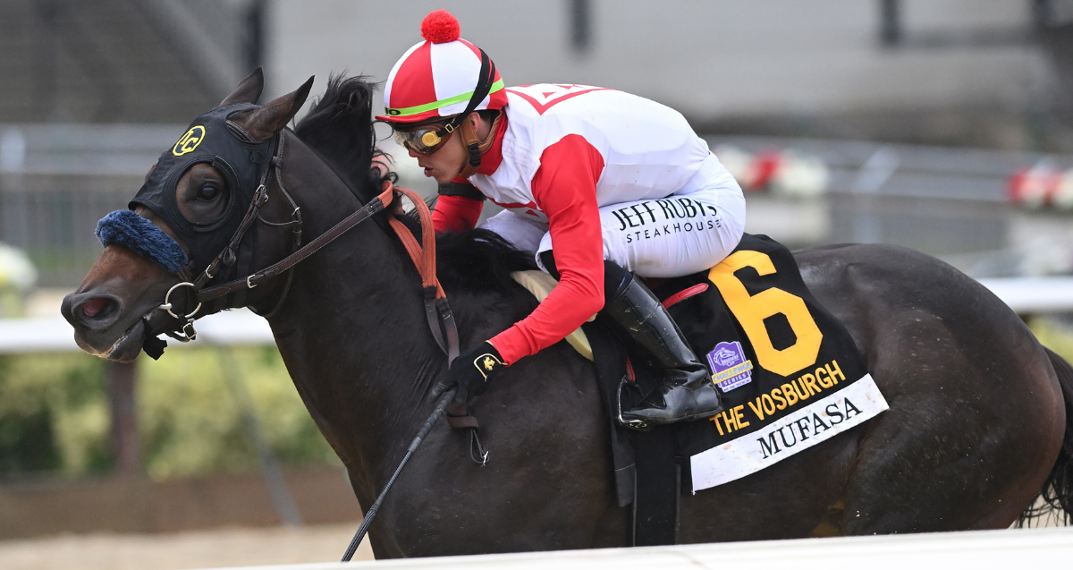 Mufasa Vosburgh 24 Al