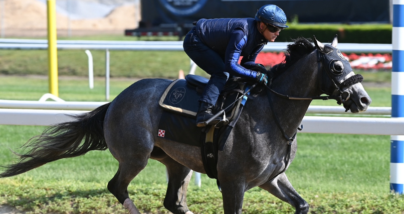 Arcangelo Bel 5 31 23 Sr